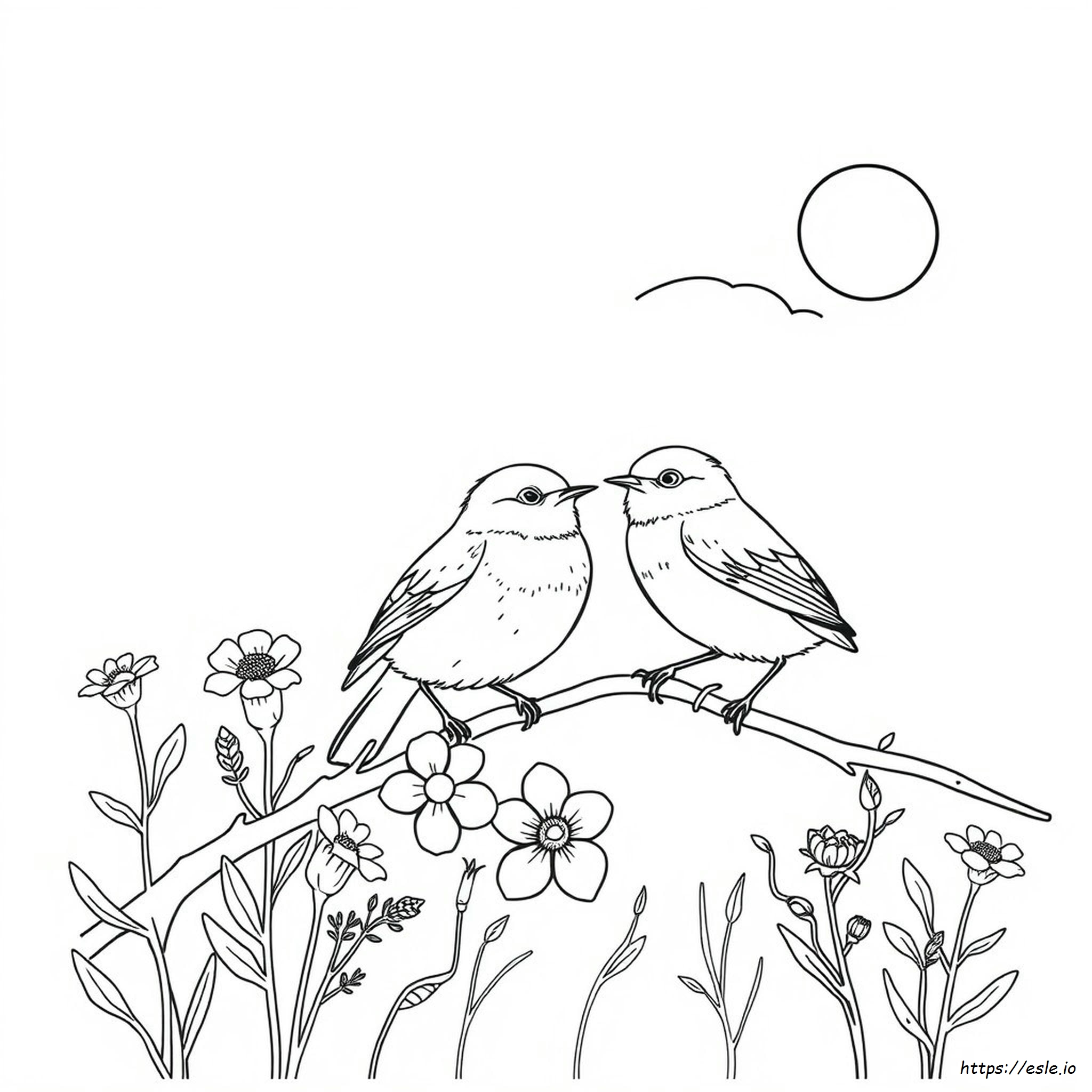 Eastern Bluebird Coloring Page