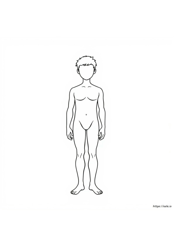 人体のアウトラインぬりえ