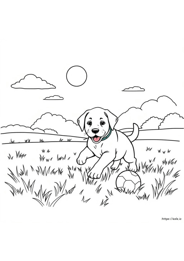 Sarı Labrador Köpek Yavrusu Boyama Sayfaları