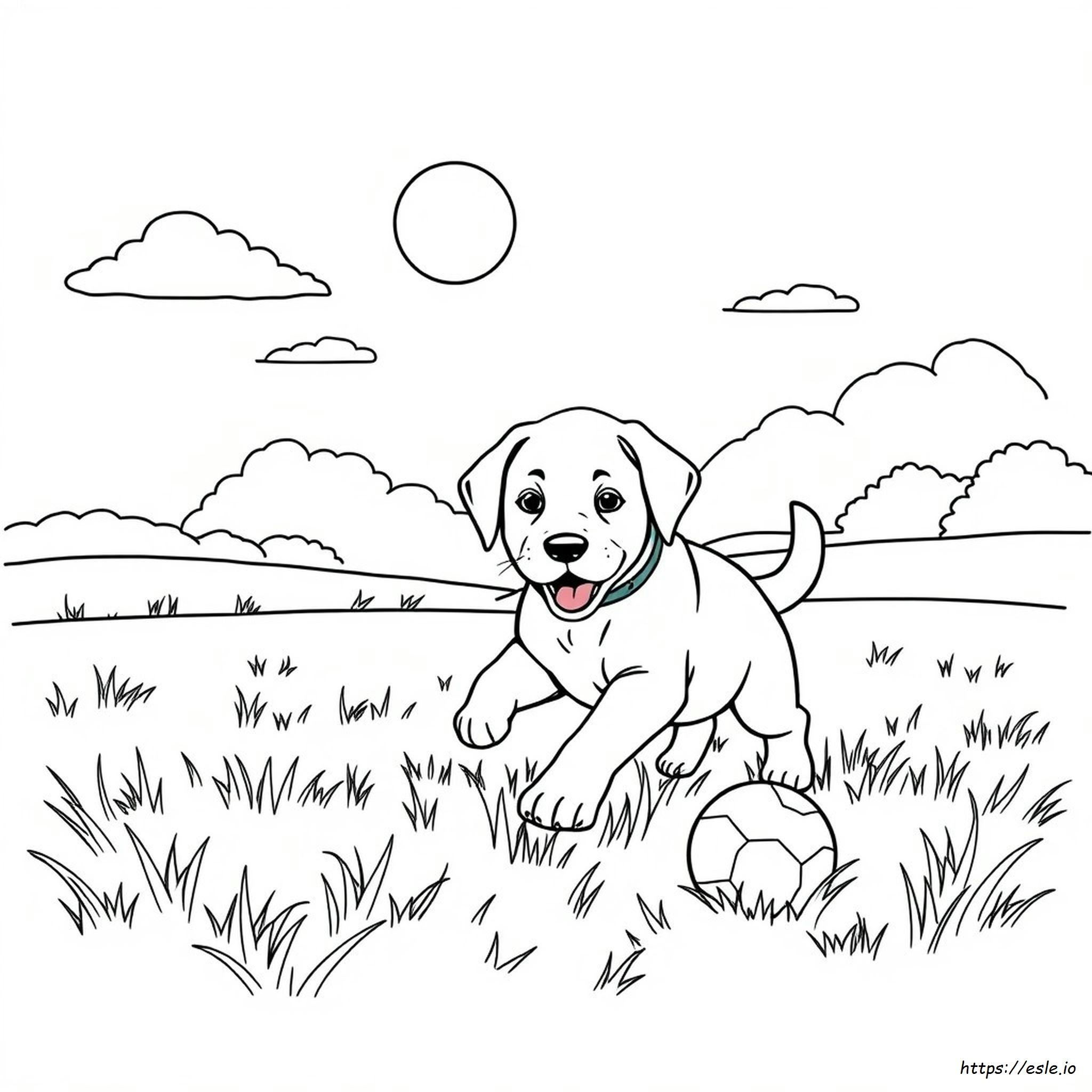 Yellow Lab Puppy Coloring Pages