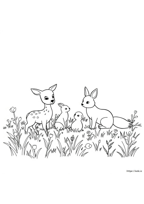 Immagini Di Animali Da Colorare