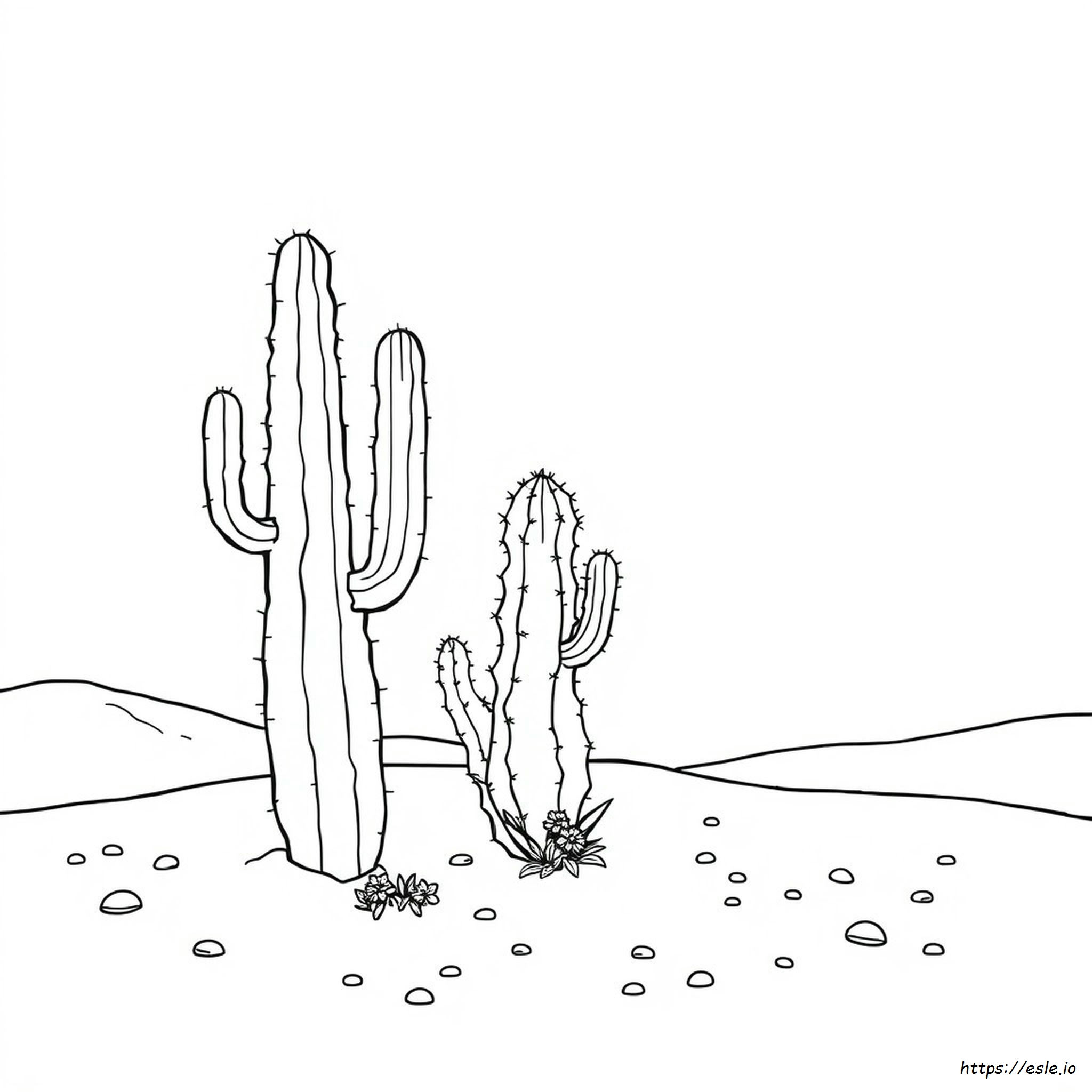 Cactus Coloring Pages To Print