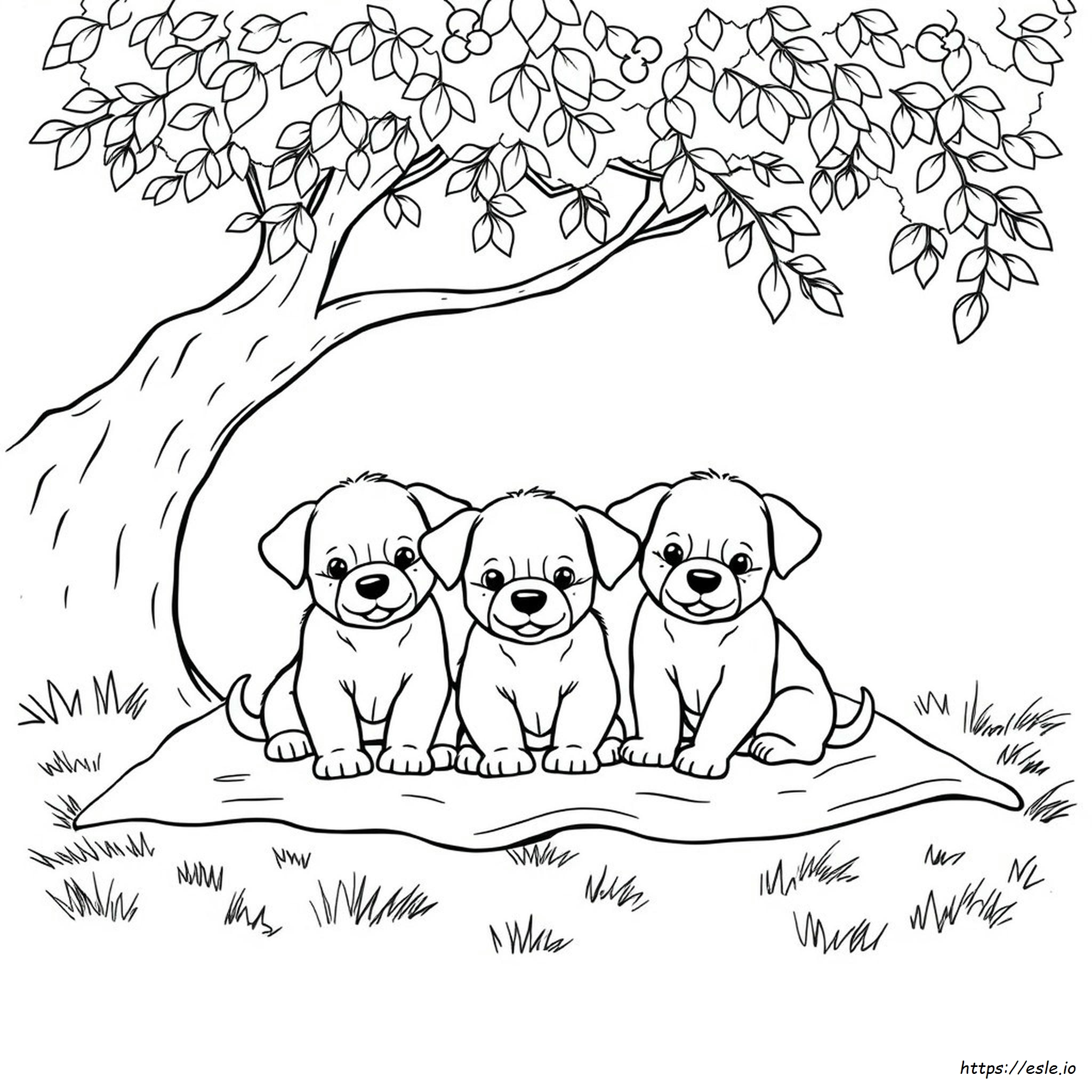Coloring Pages Of Cute Puppies