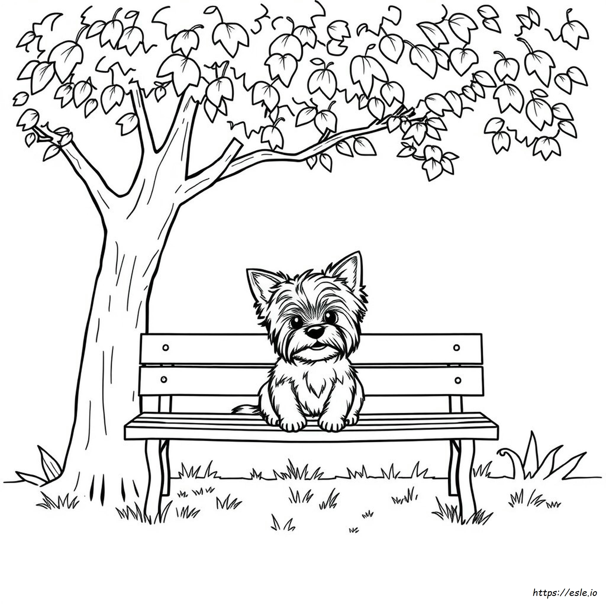 Gambar Mewarnai Yorkie
