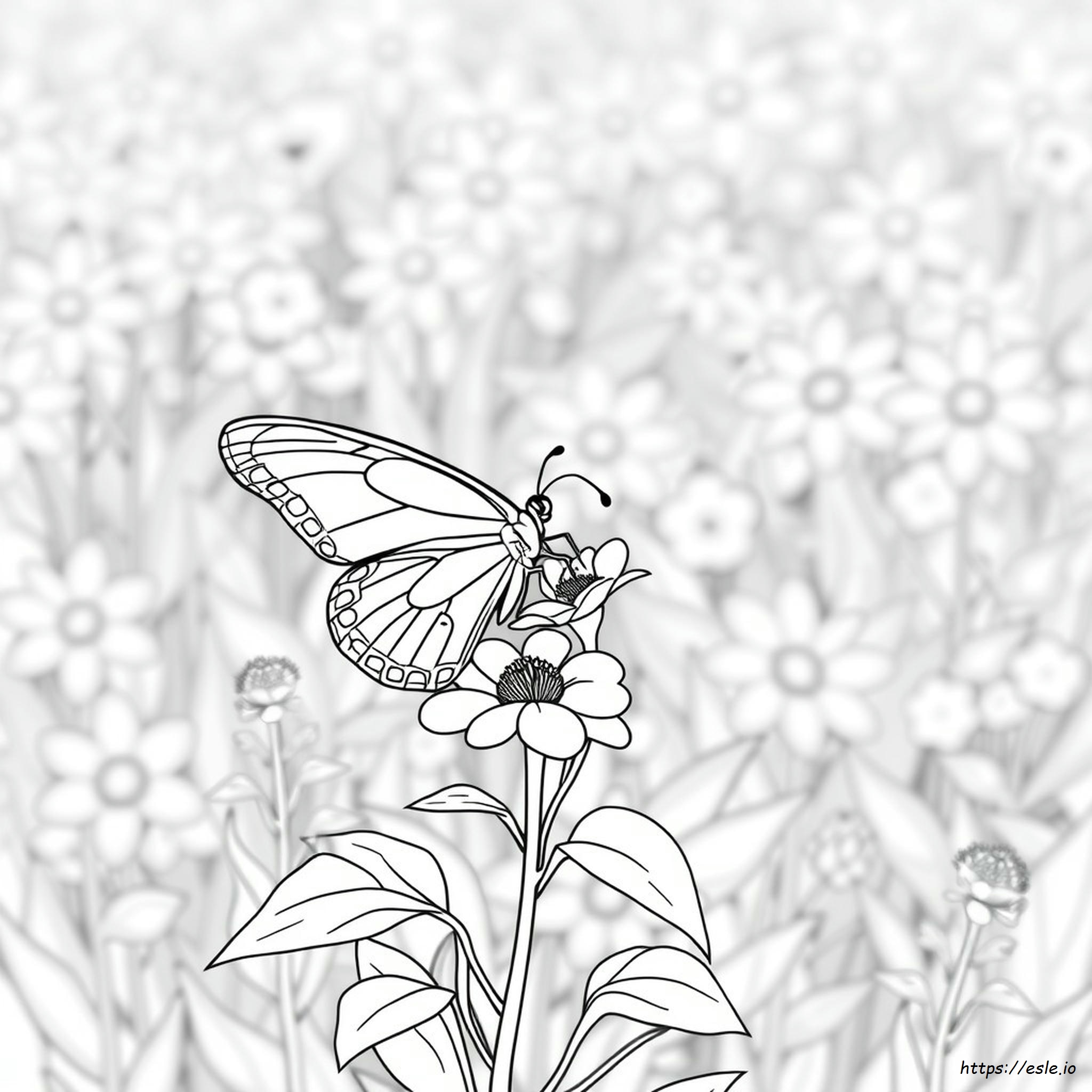 Butterfly And Flower Coloring Pages For Adults