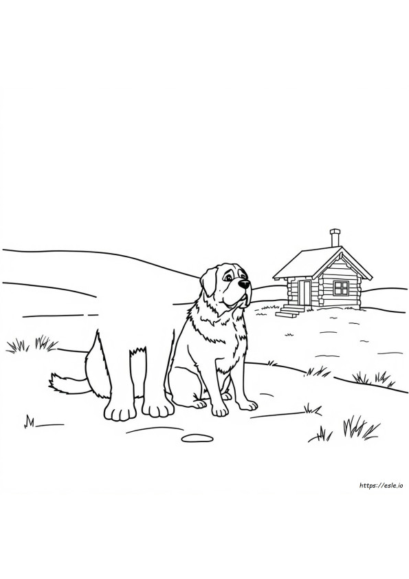 Saint Bernard Boyama Sayfası