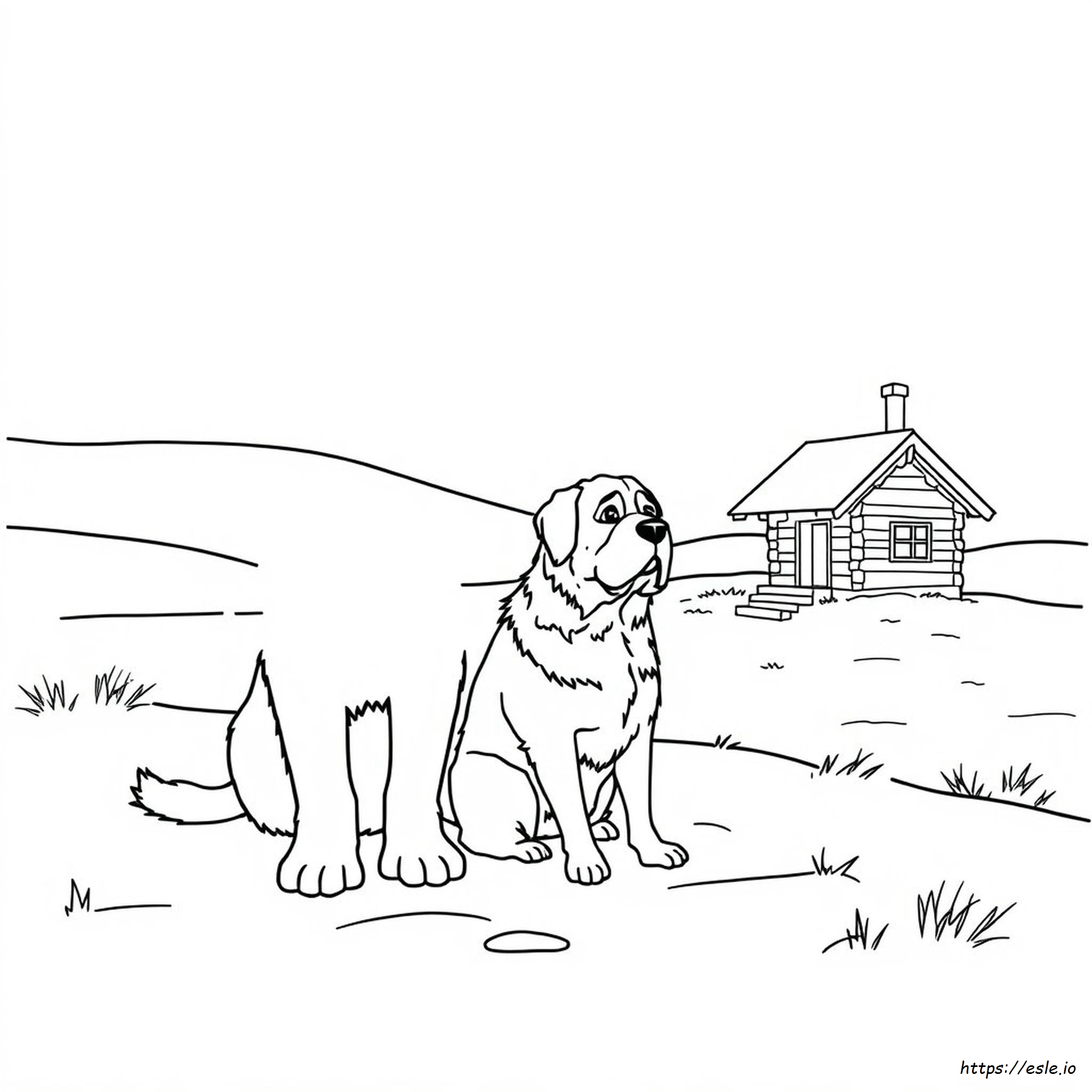 Saint Bernard Coloring Page