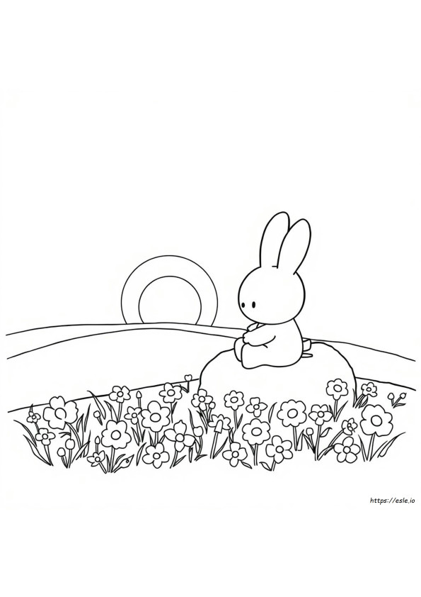 Kolorowanka Miffy