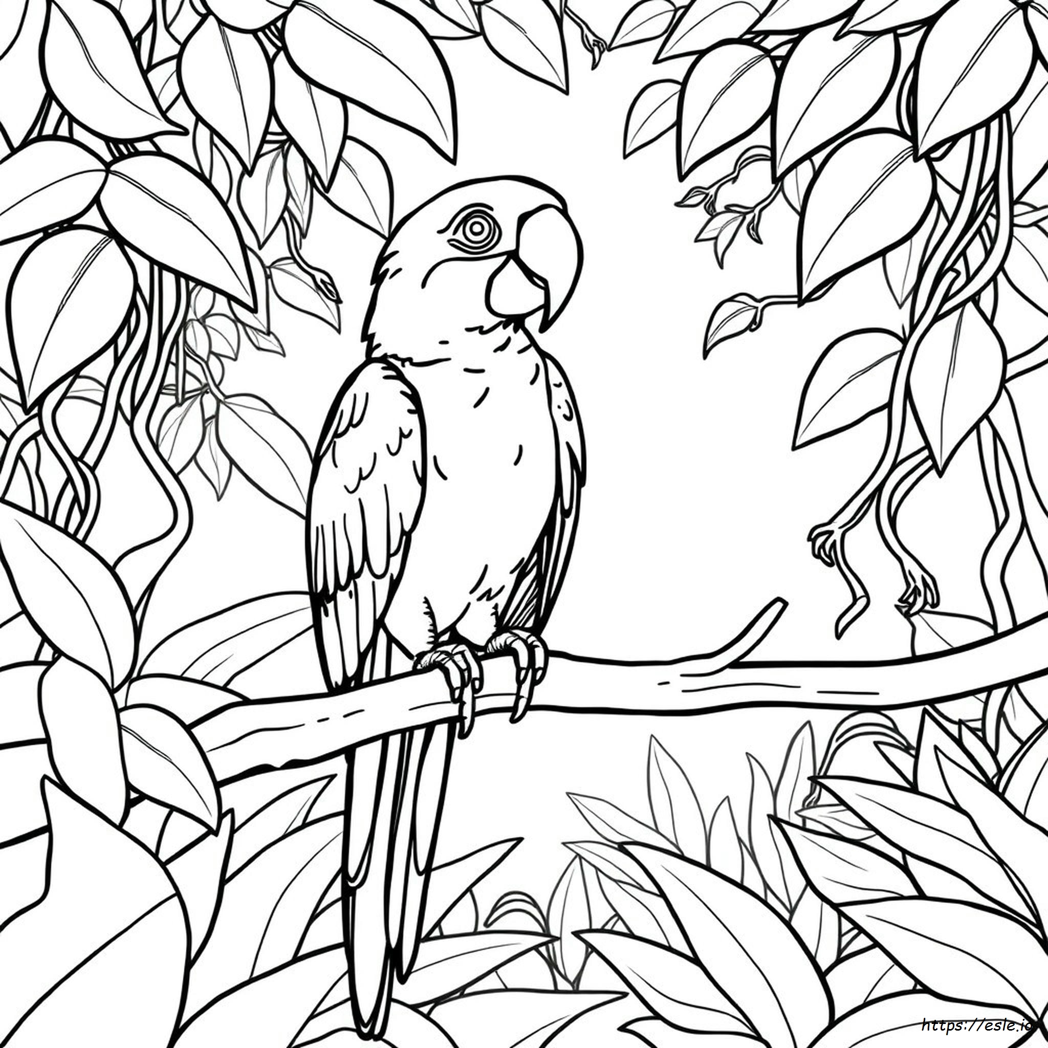 Printable Macaw Coloring Page
