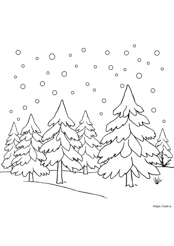 December Kemény Színezők