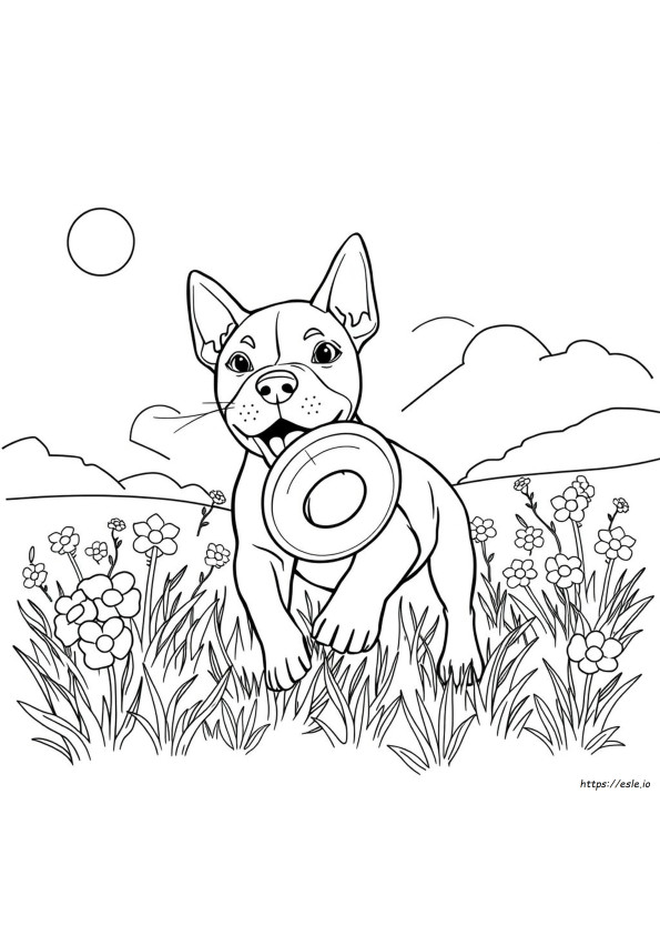 Páginas Para Colorear De Cachorros Pitbull