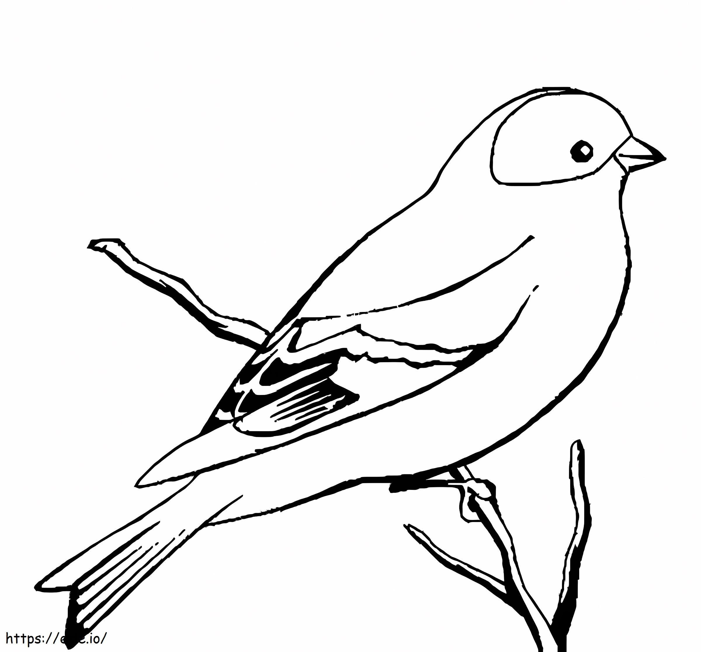 Coloriage Bel oiseau canari à imprimer dessin