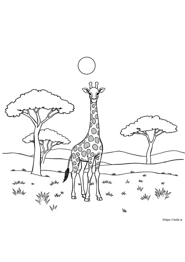 Pagina Da Colorare Della Giraffa