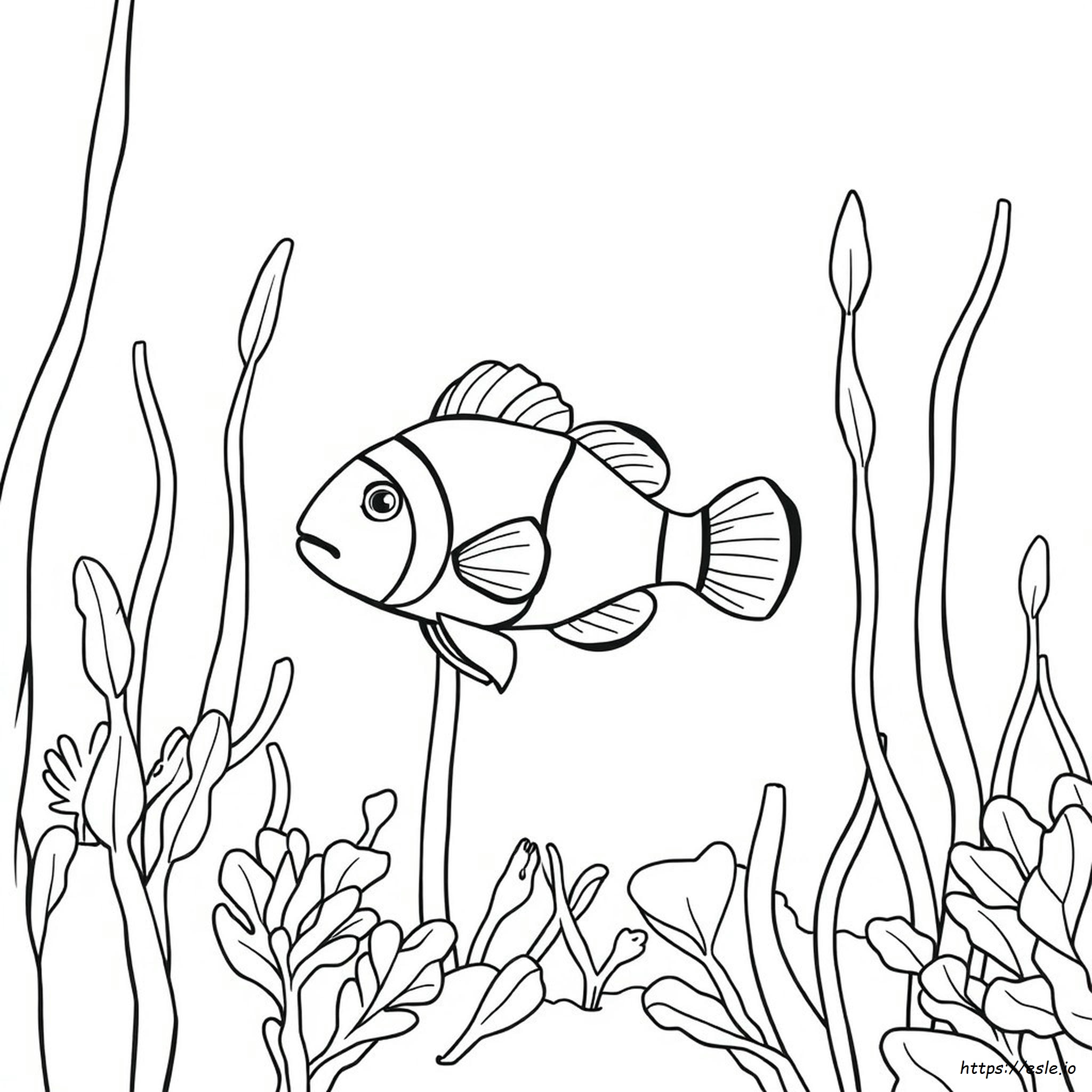 Clown Fish Colouring Pages