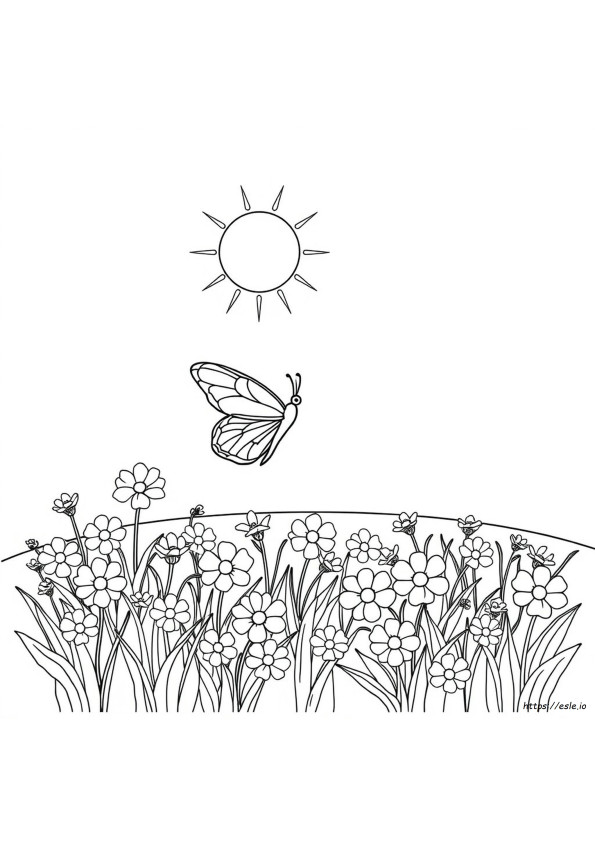 Fast Coloring Pages