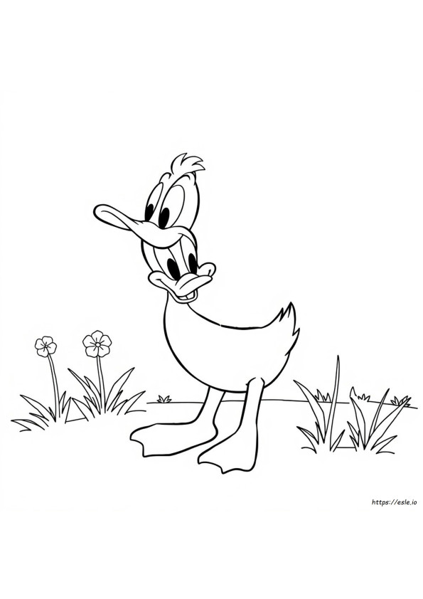 Daffy Duck Coloring Pages