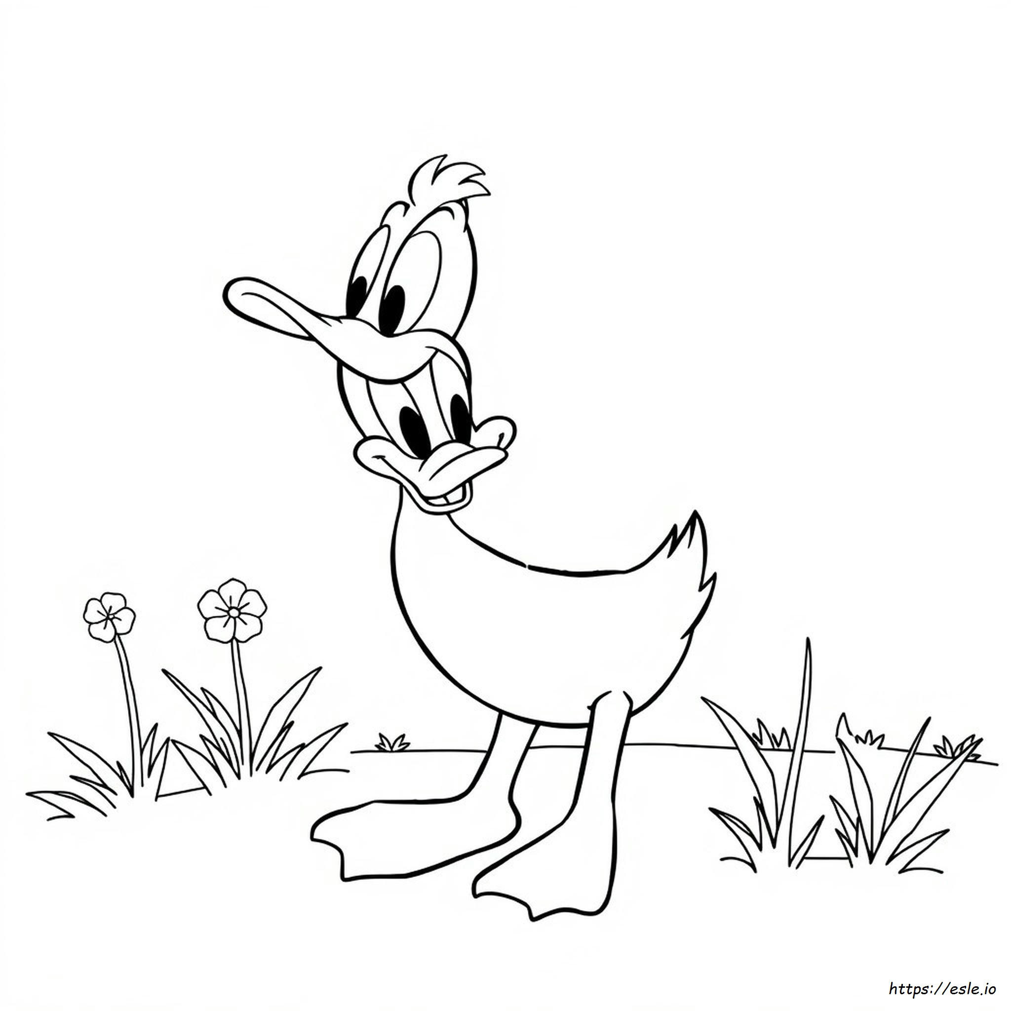 Daffy Duck Coloring Pages
