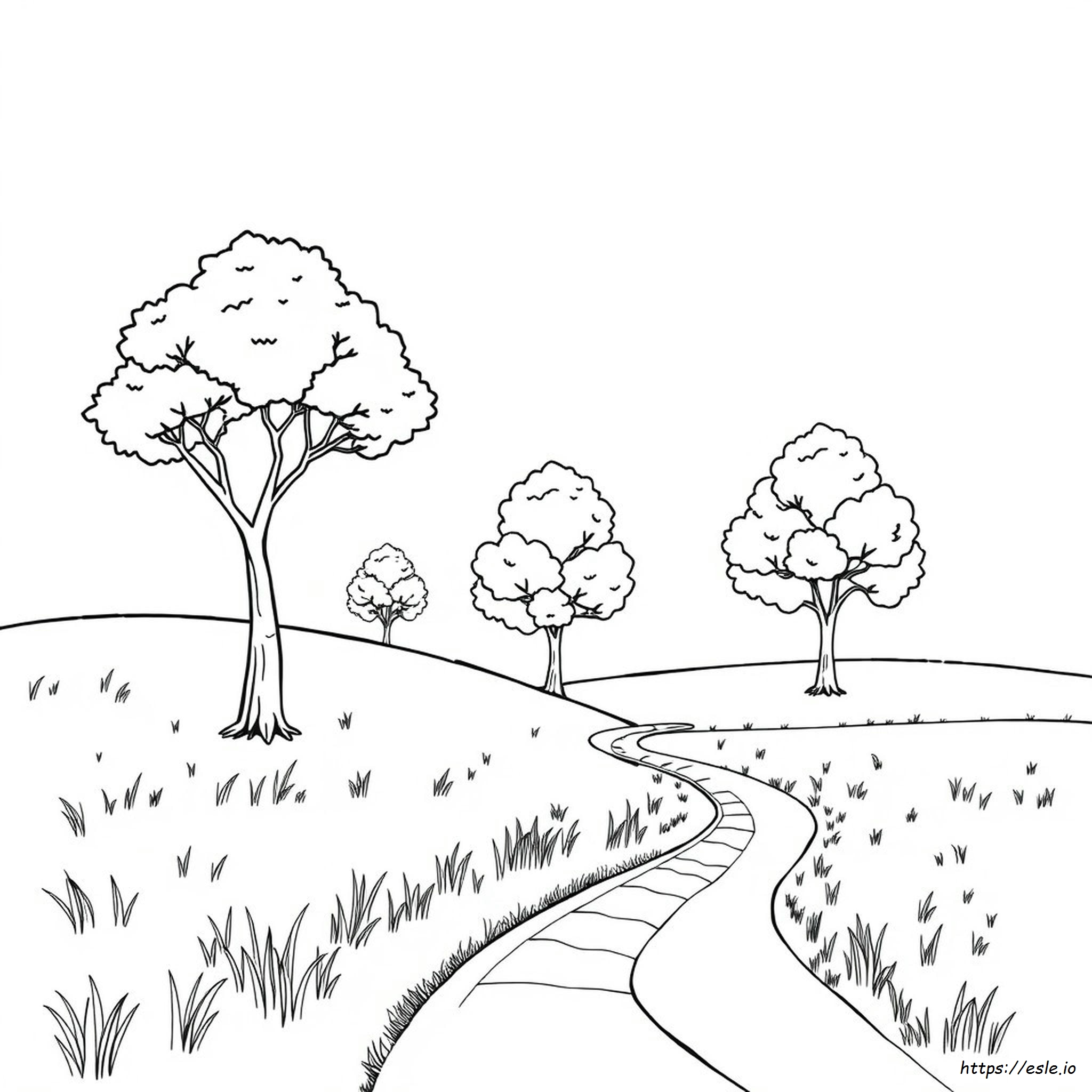 Adult Coloring Pages Trees