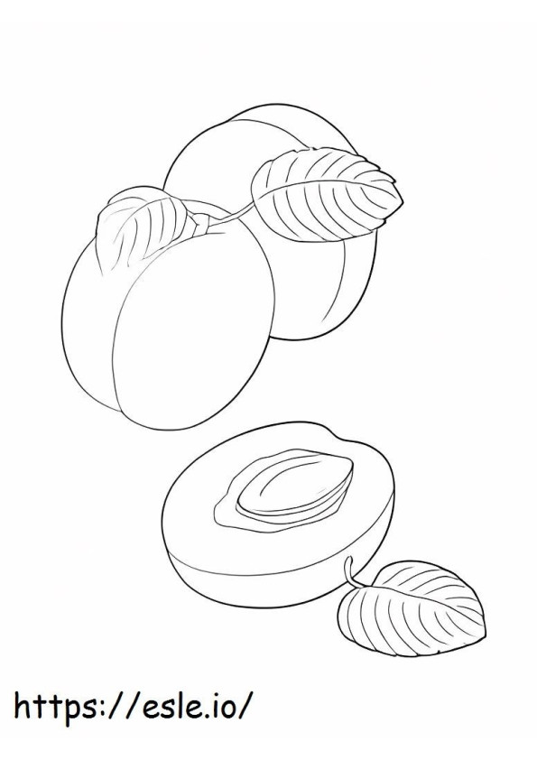 Two Apricots And A Half Apricot coloring page