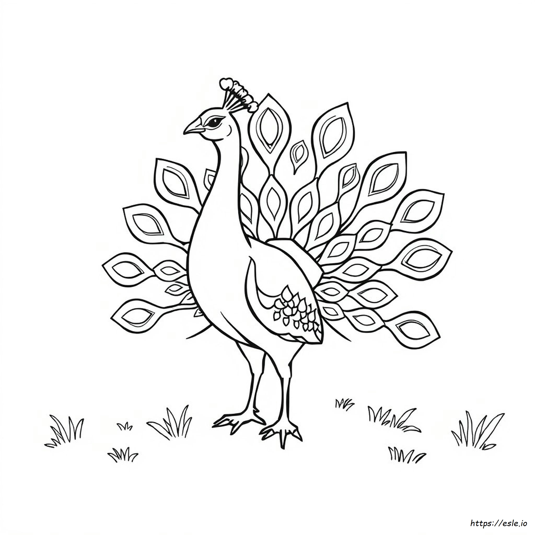 Colouring Peacock Clipart Black And White