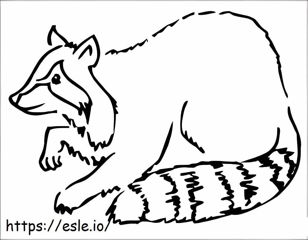 Raccoon Drawing coloring page