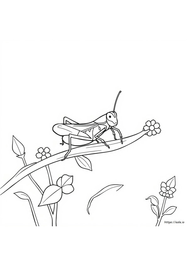 Grilo Para Colorir