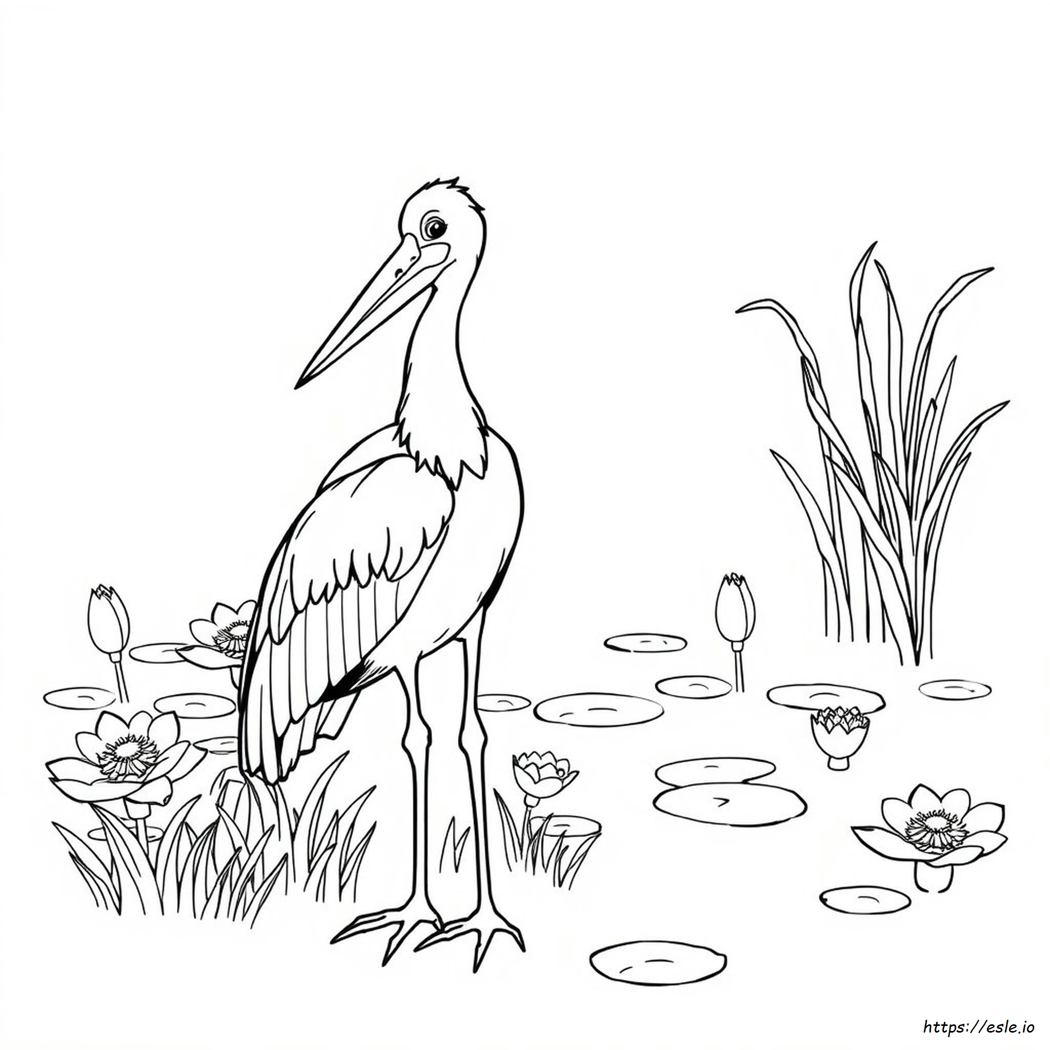 Shoebill Stork Coloring Page