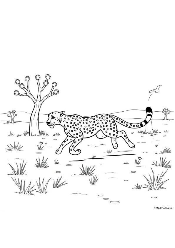 Cheeta Kleurplaat