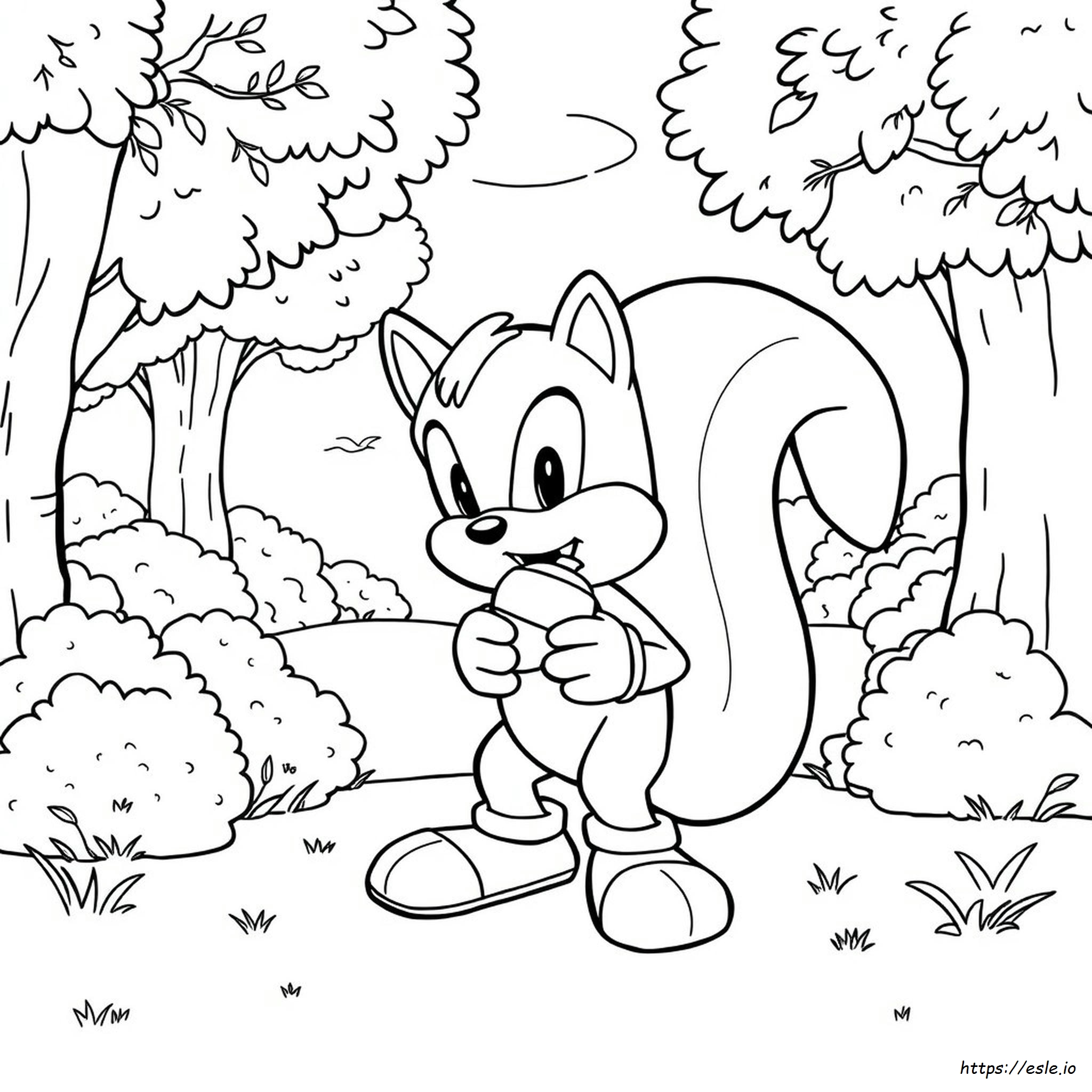 Sonic The Hedgehog Ausmalbilder