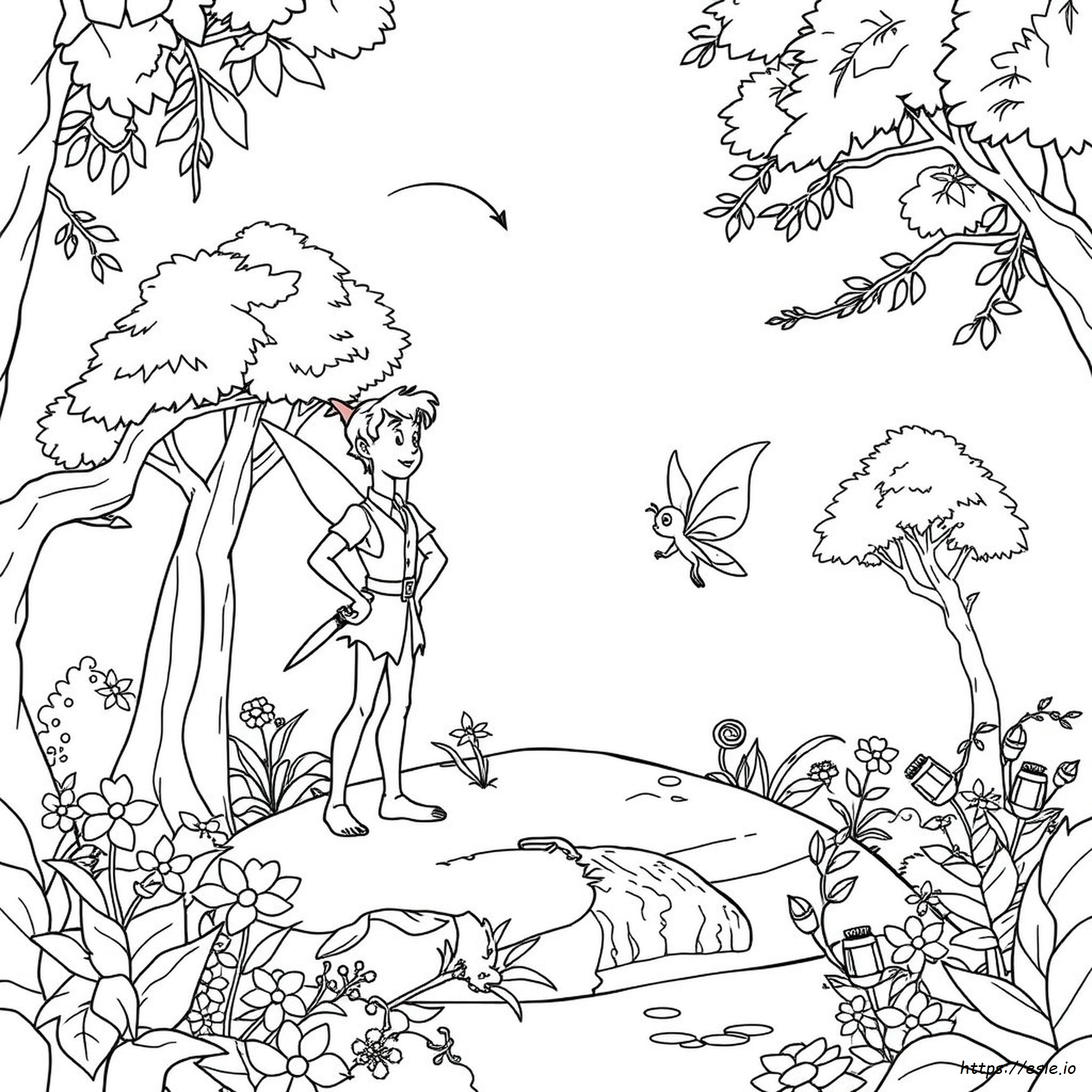 Peter Pan Coloring Book Pages