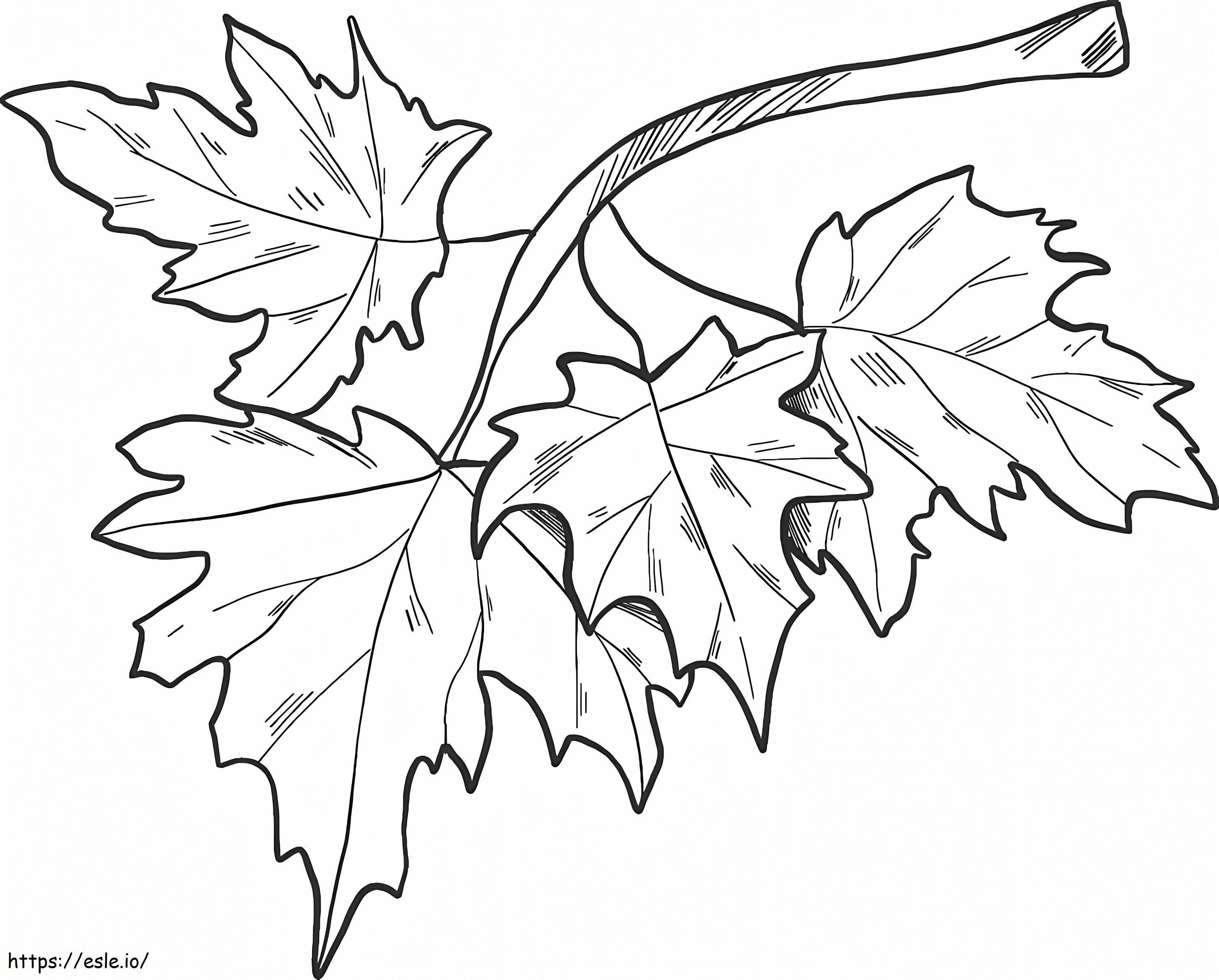 Fall Leaves On A Branch coloring page