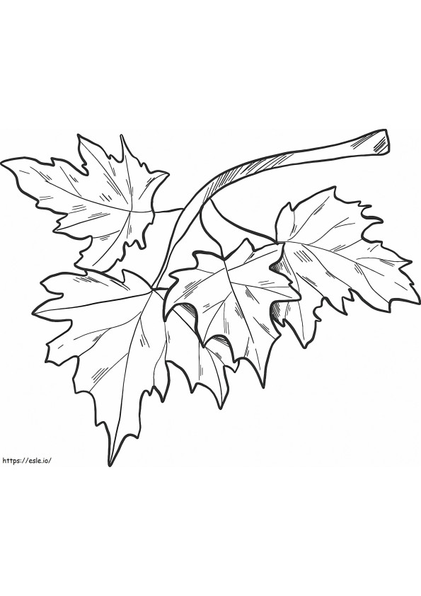Coloriage Feuilles d'automne sur une branche à imprimer dessin
