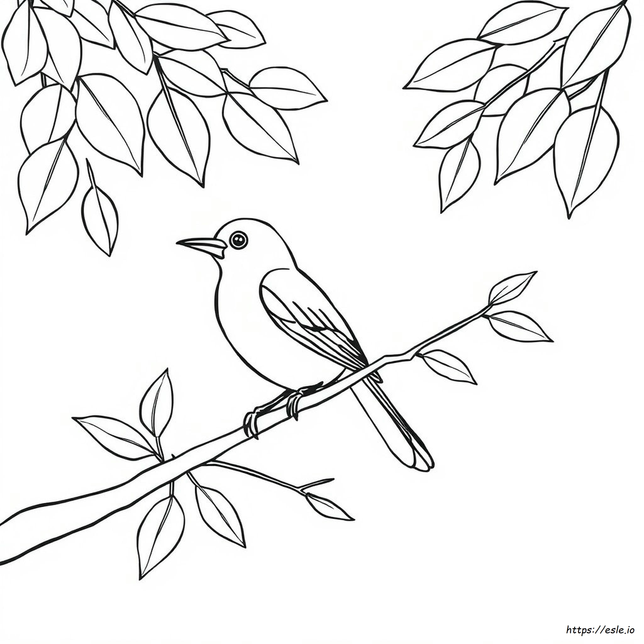 Zwart-Wit Vogel Kleurplaat kleurplaat