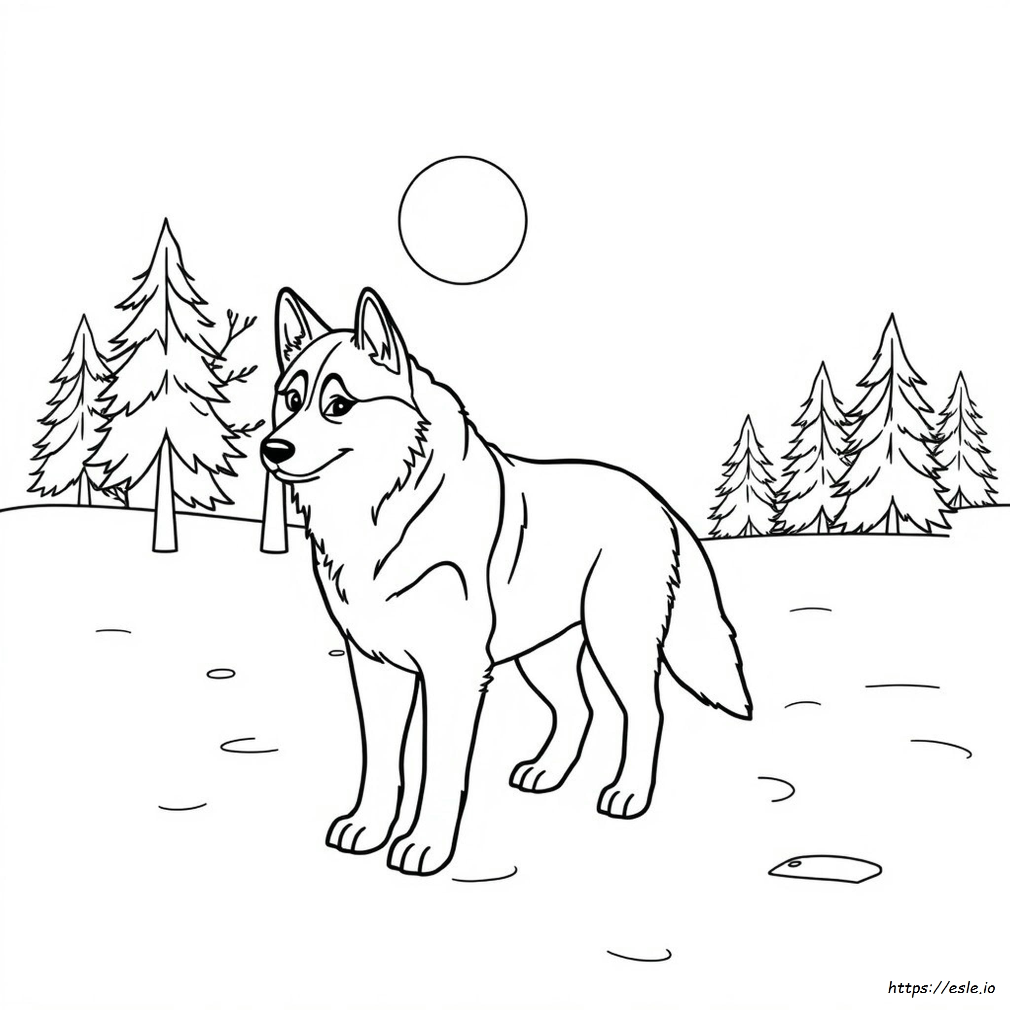 Gratis Husky Kleurplaten kleurplaat
