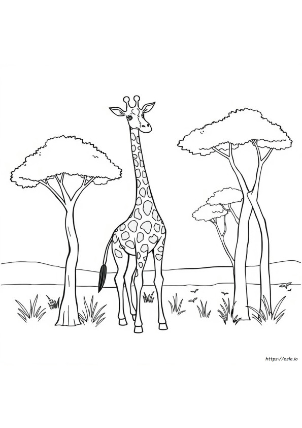 Giraffe Kleurplaat