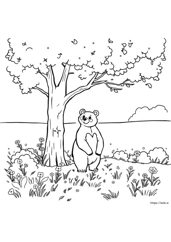 Schwarzbär Ausmalbild