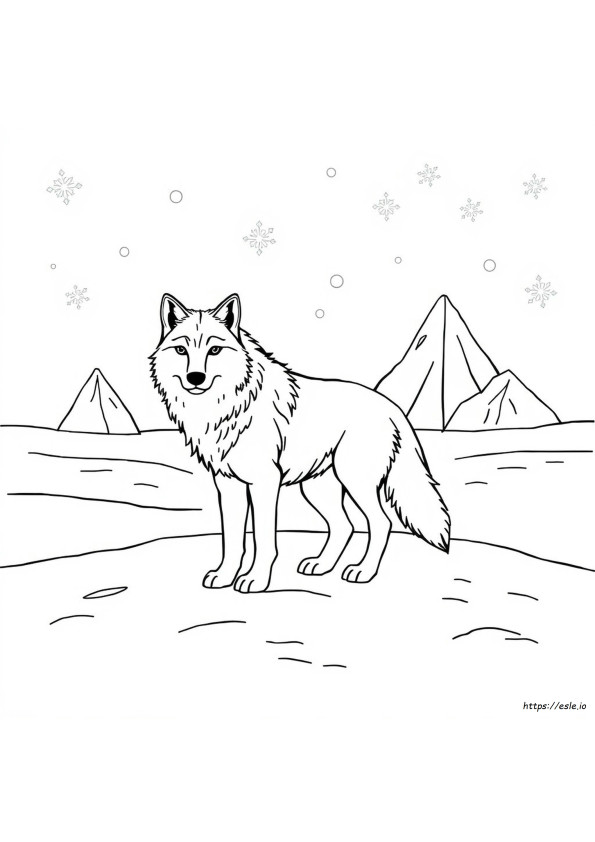 Animal Ártico Para Colorir