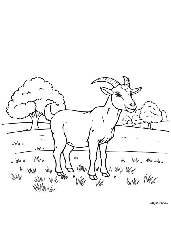 Realistic Goat Coloring Pages