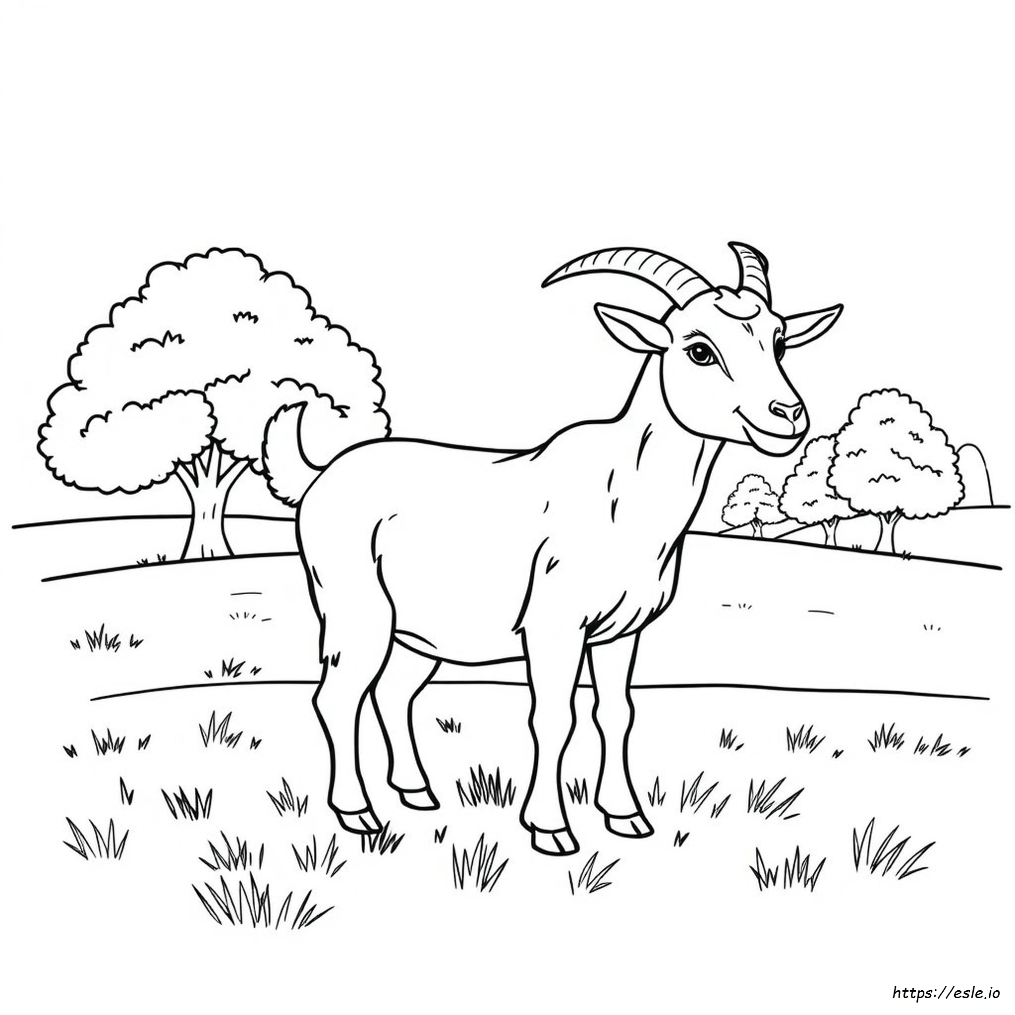 Realistic Goat Coloring Pages