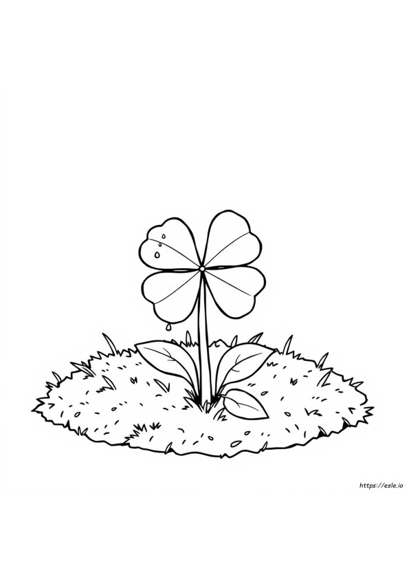 Four Leaf Clover Coloring Pages Printable