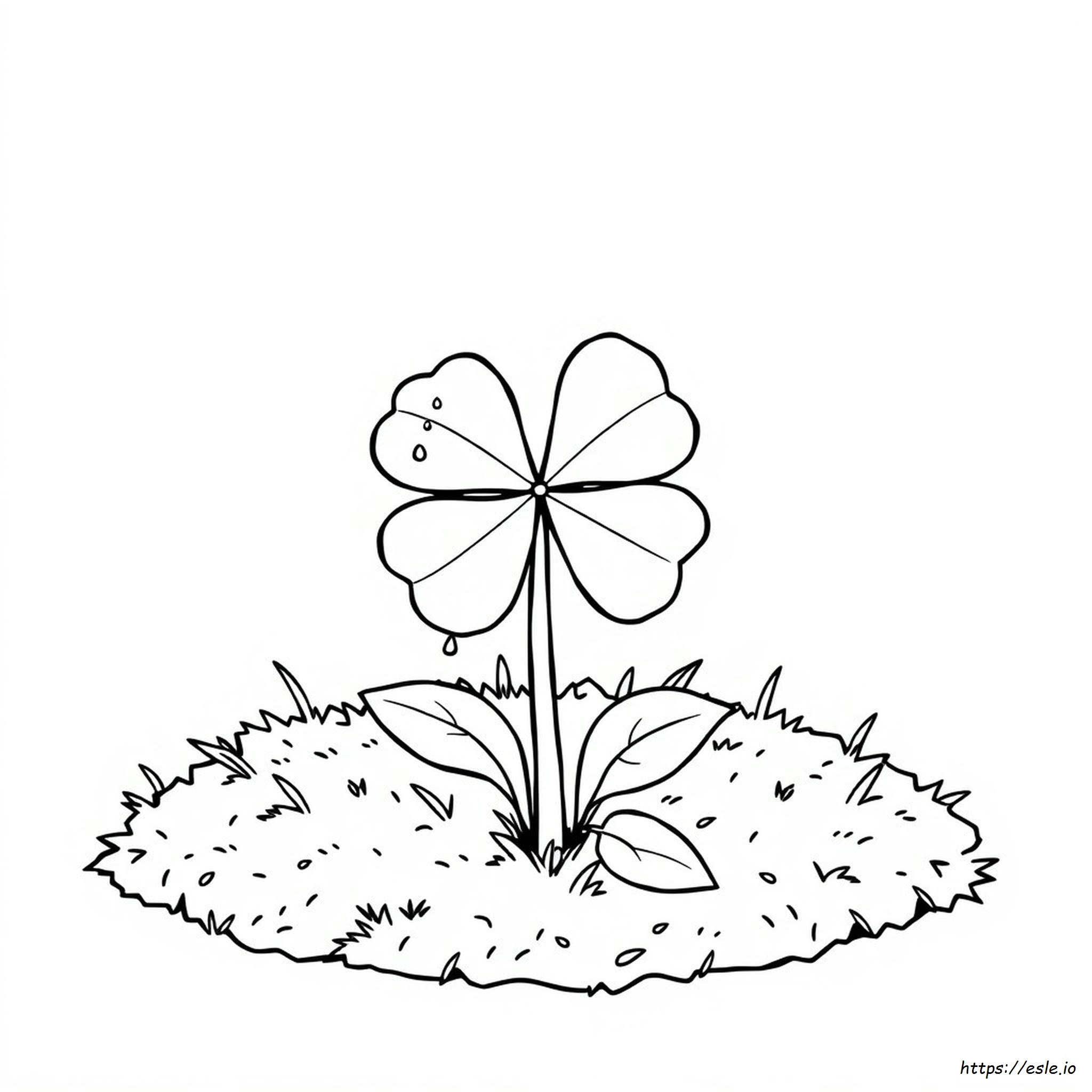 Four Leaf Clover Coloring Pages Printable