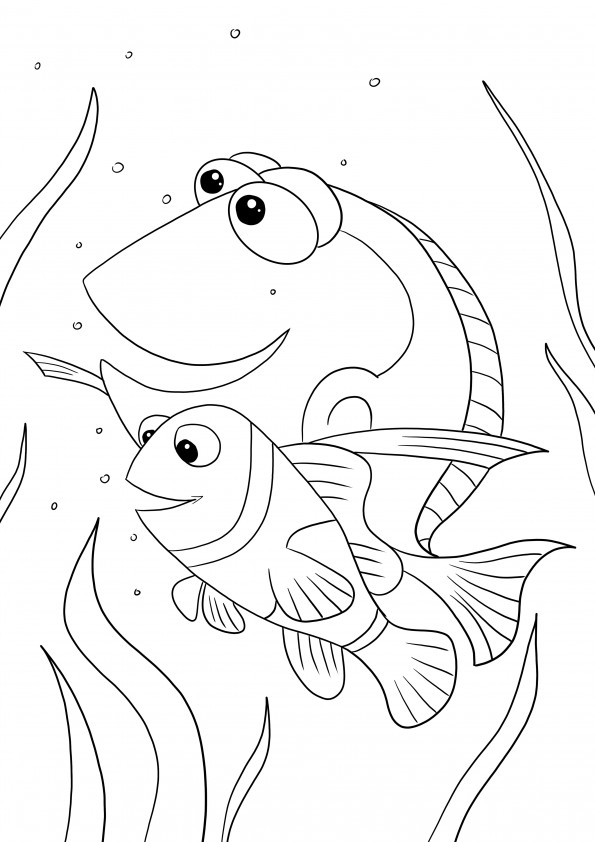 Trouver la page d'impression de Nemo pour les enfants image de coloriage facile et gratuite