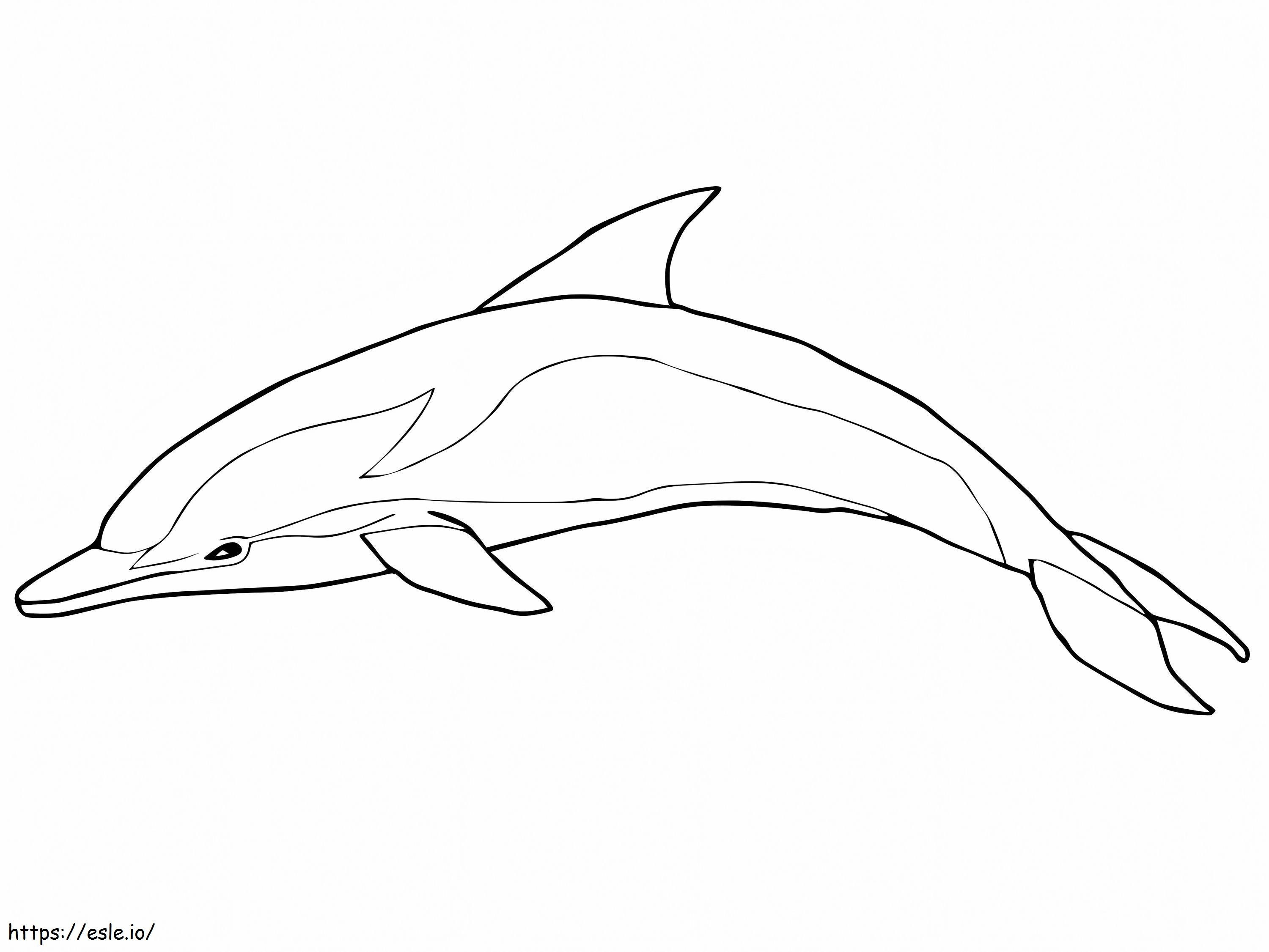 Delfin Albastru și Alb de colorat