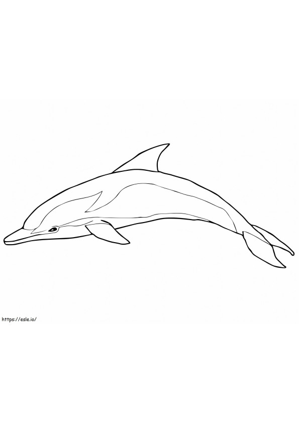 Delfín azul y blanco para colorear
