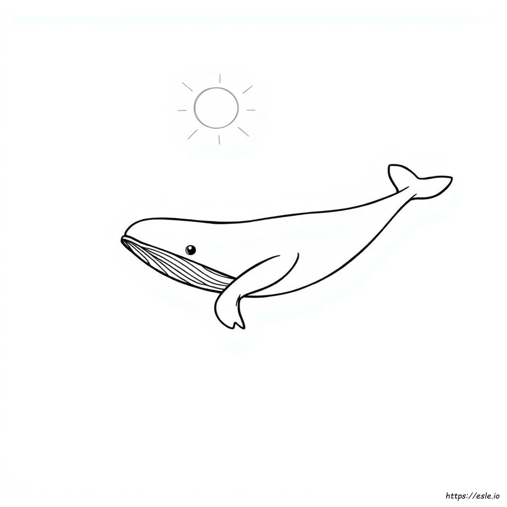 Free Whale Coloring Pages