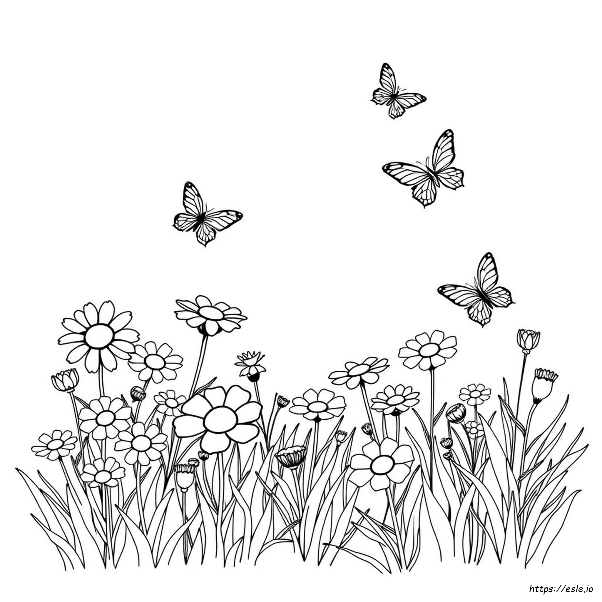 Colouring Pages Images