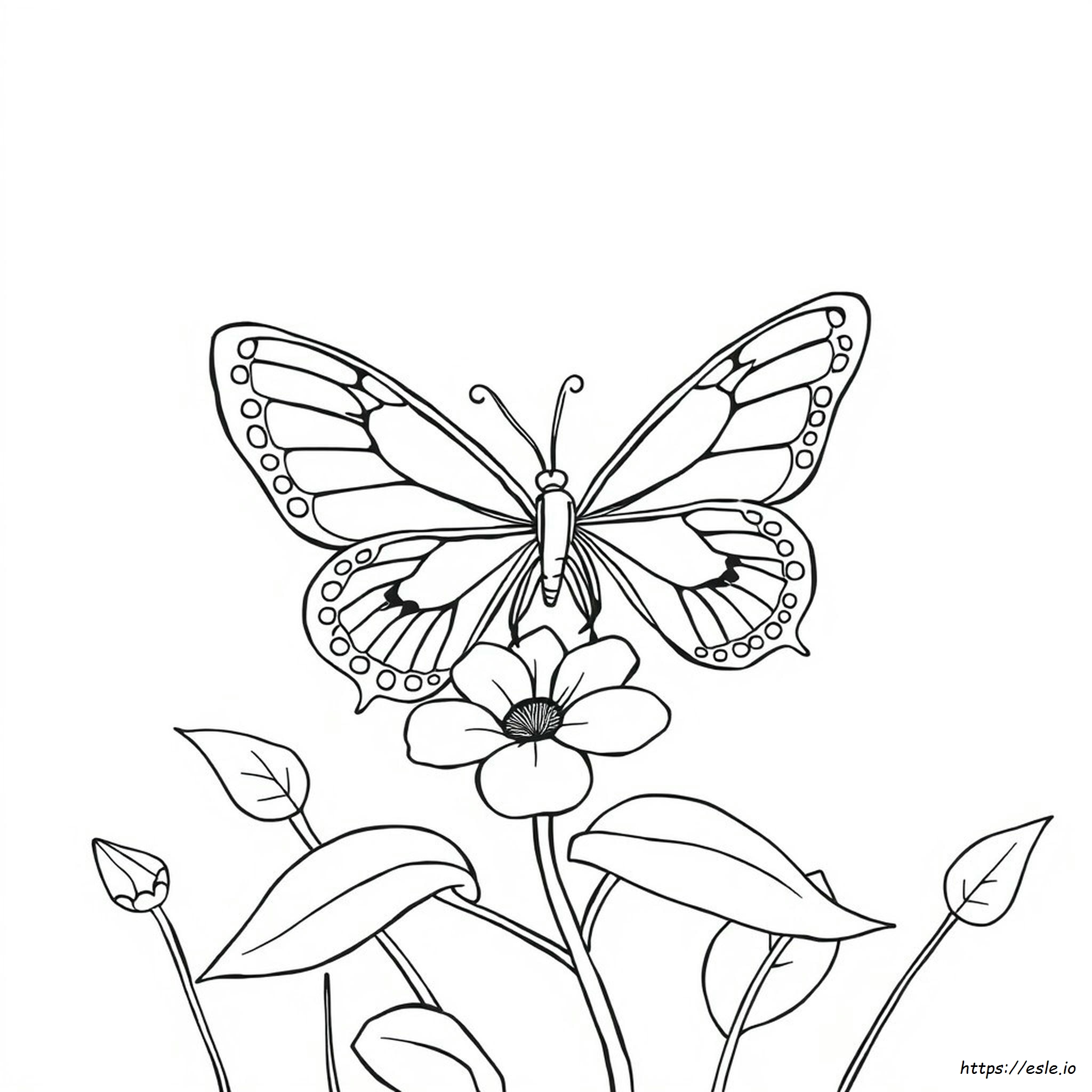 Beautiful Butterfly Coloring Pages
