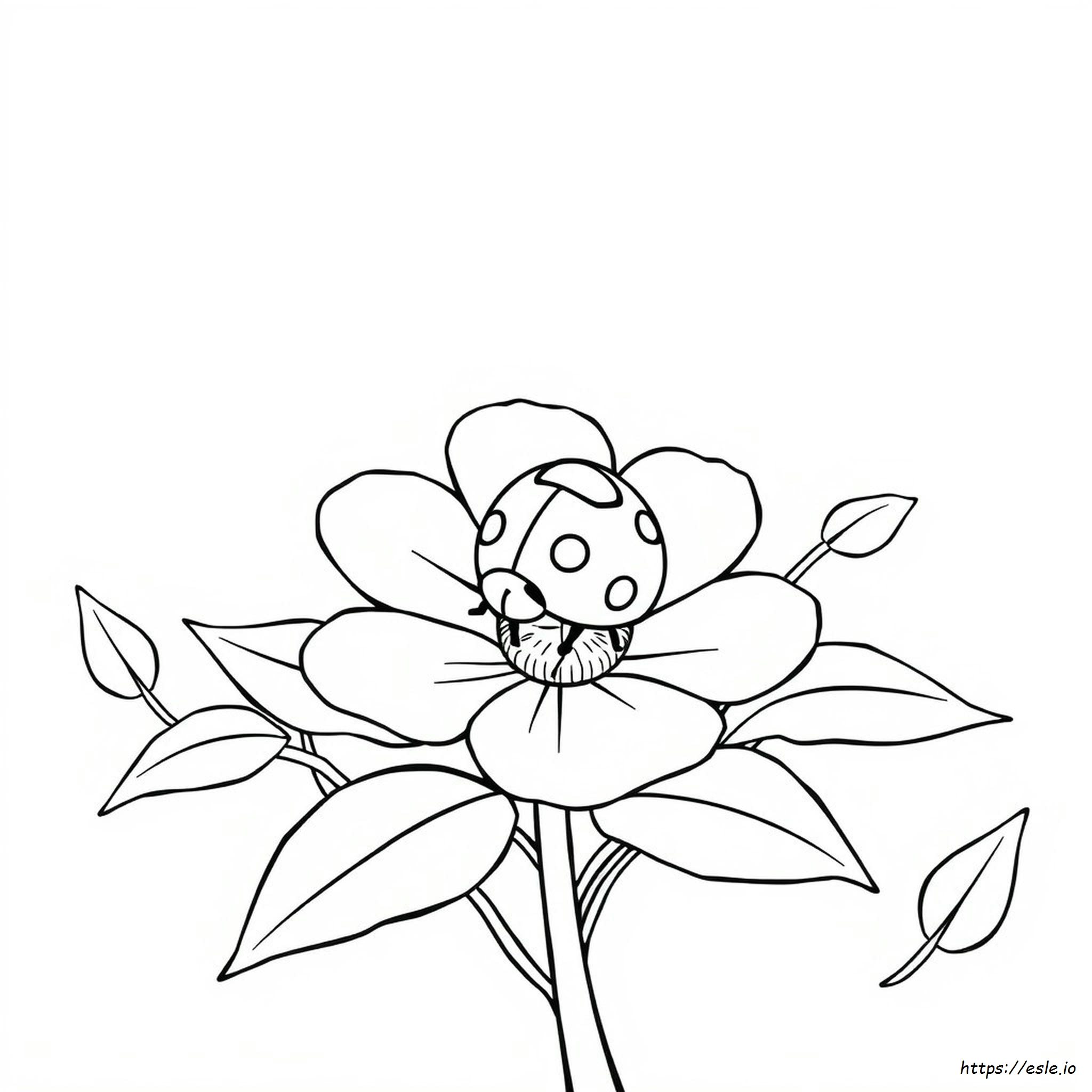 Ladybug Coloring Pages To Print