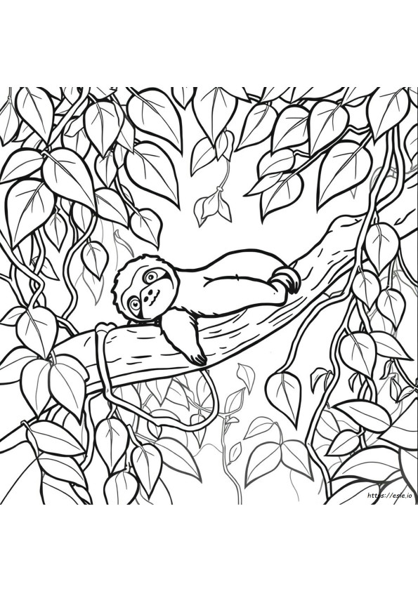 Lámina Para Colorear De Pereza