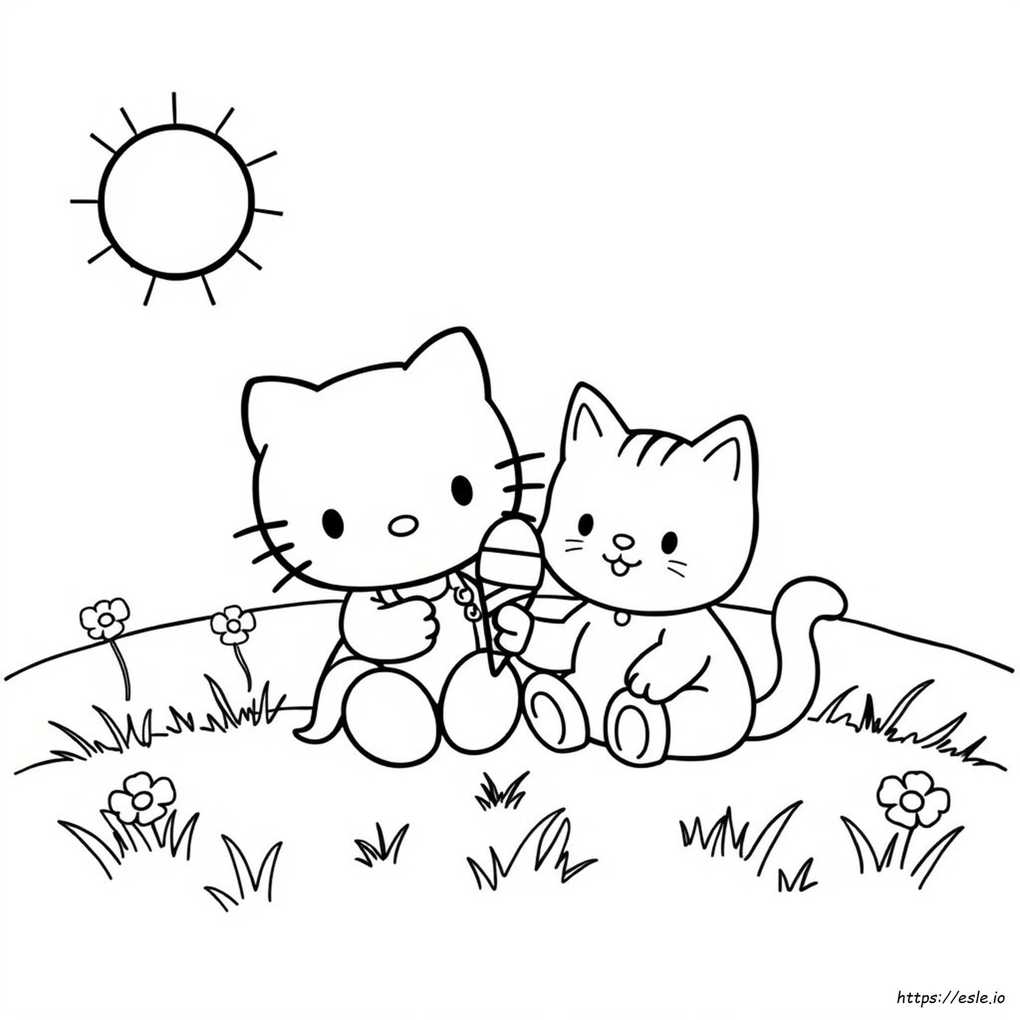 Coloring Pages Pisica Desene Cu Hello Kitty